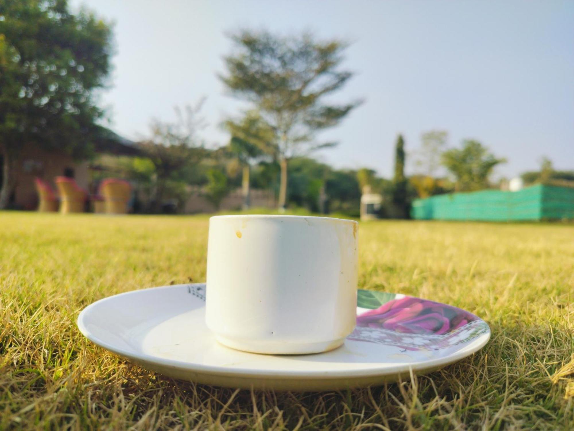 Pari Resort With Nature View プシュカル エクステリア 写真